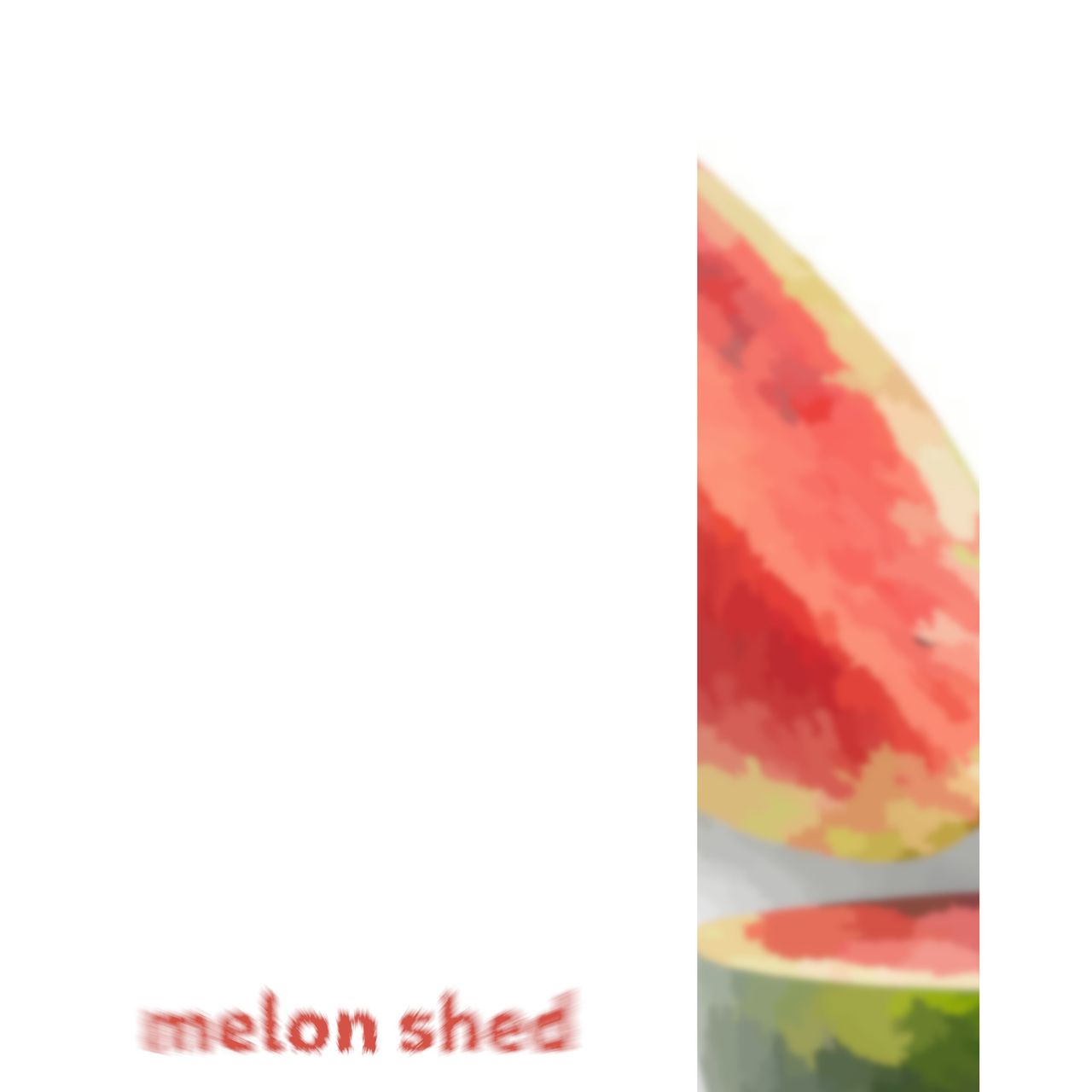 a slice of a watermelon