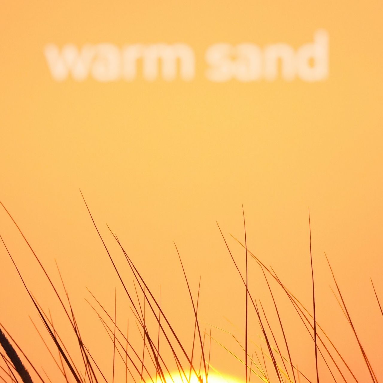 sunrise with gras