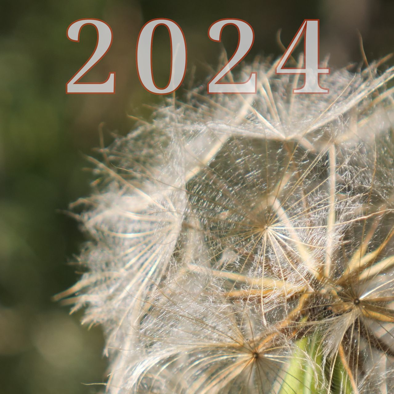 my 2024 music