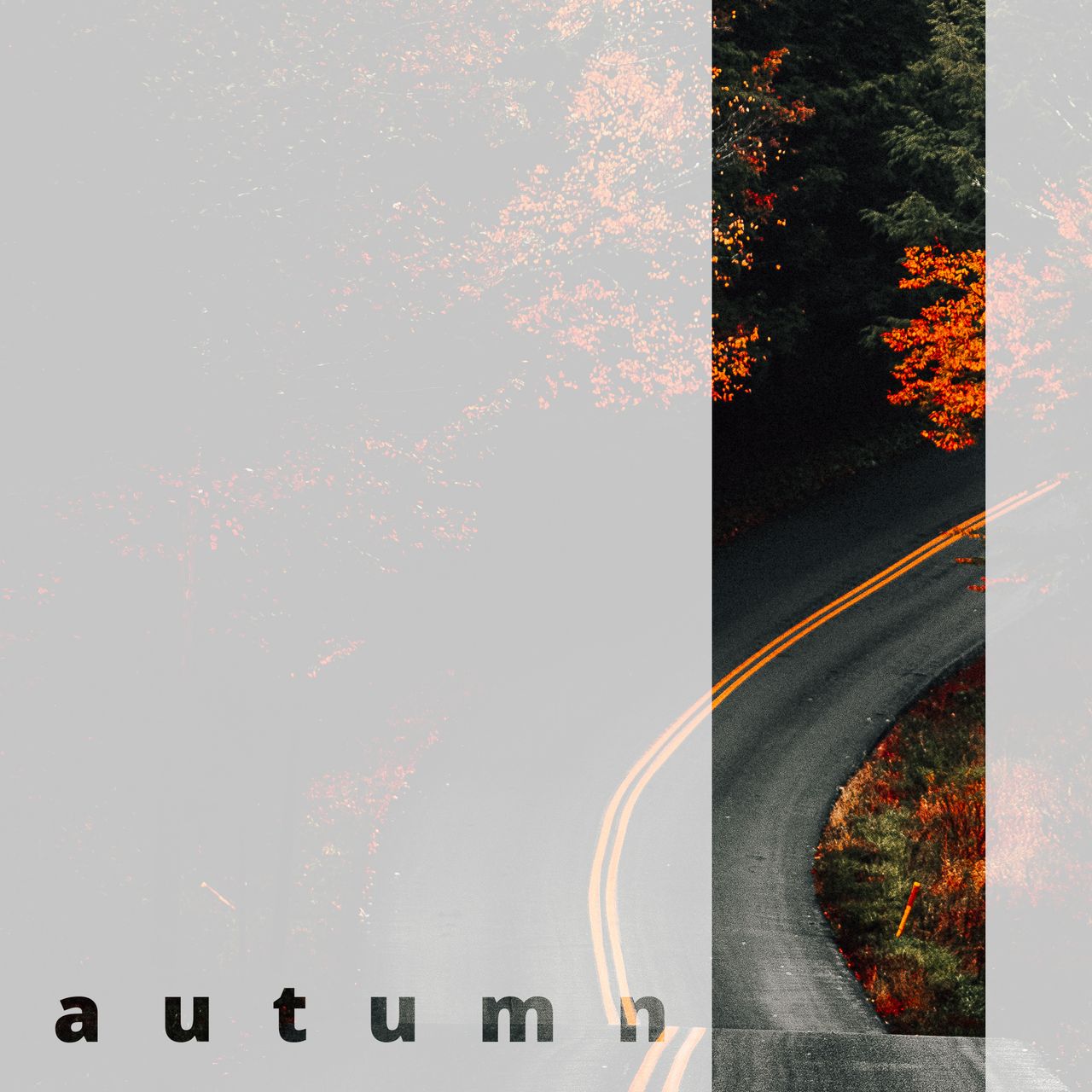 road in autum forest