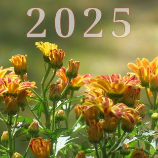 2025